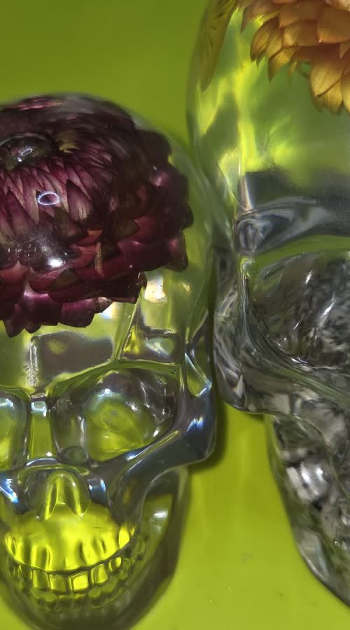 Medium clear resin skull with dark red dried flower