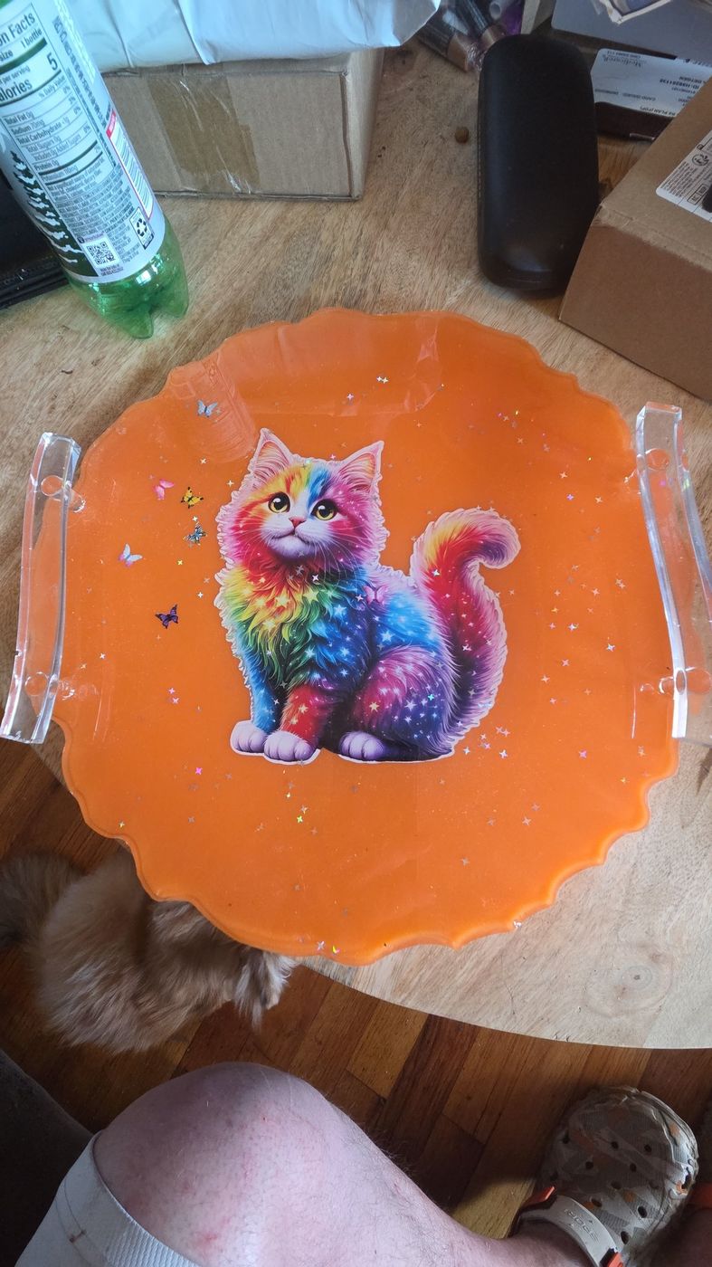 Large orange serving tray with rainbow cat