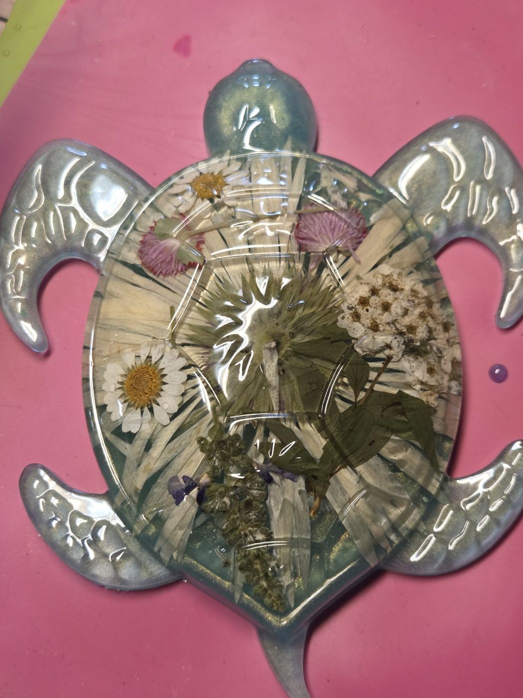 Sea turtle with dried flowers in its shell